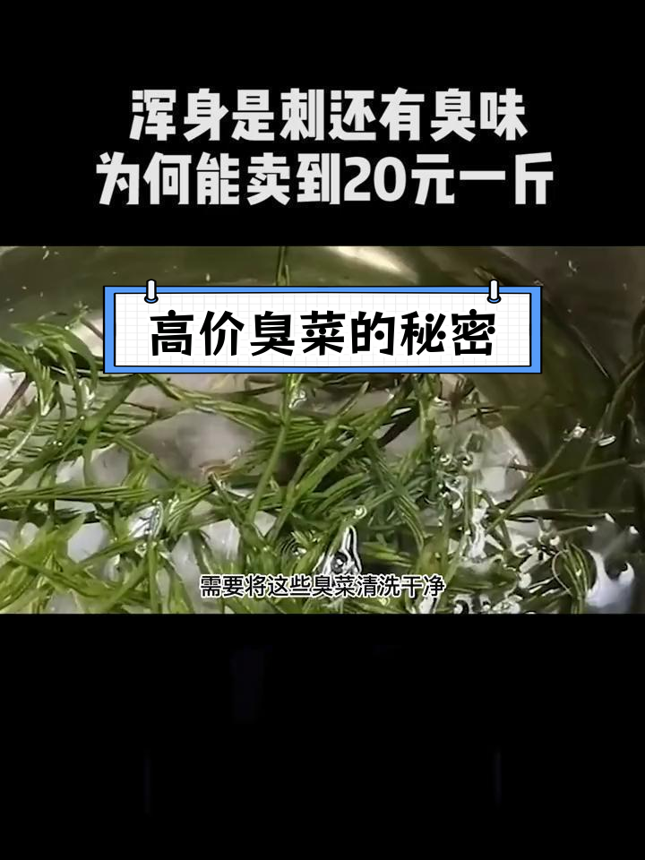云南臭菜为何能卖高价?