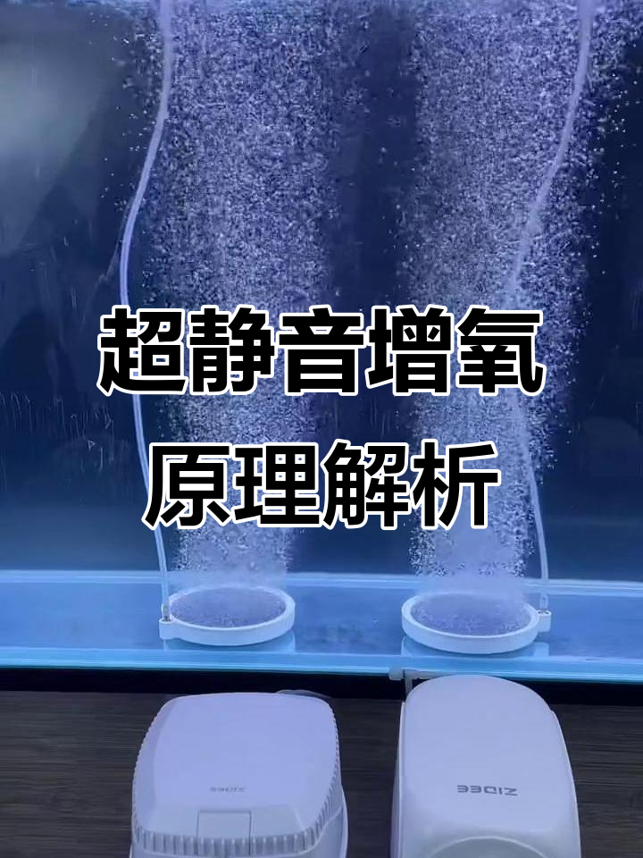 氧气泵如何工作?揭秘超静音增氧原理