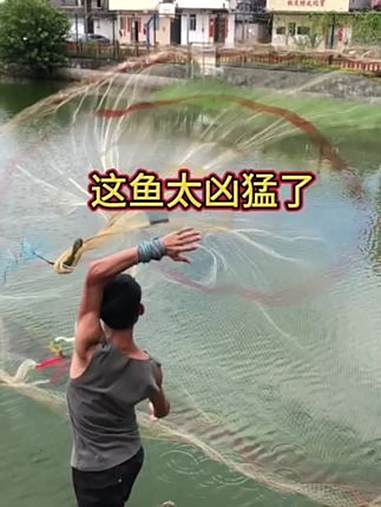 细线博猛货 纯手工大力马撒网 户外撒网捕鱼 传统旋网 鱼网