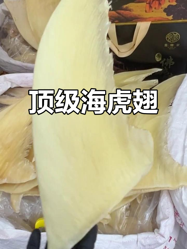 海虎翅,鱼翅中的豪华之选,口感堪比天九