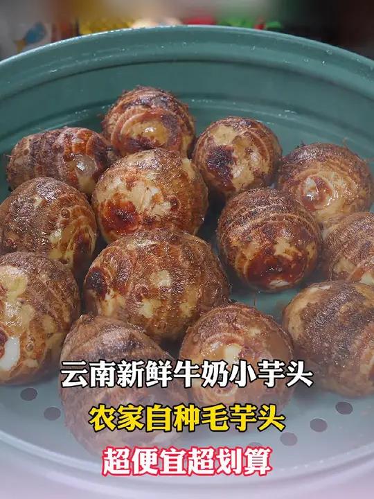 云南高山的牛奶芋头又粉又糯,吃起来粉糯香甜,有一股淡淡的奶香味,是非常好的粗粮主食 牛奶芋