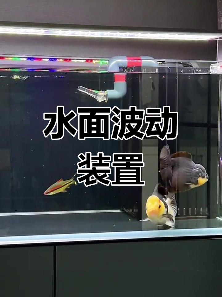 鱼缸水面波动神器,轻松增氧降温