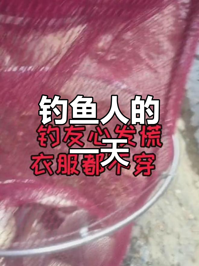 钓鱼人的早晨:老婆骂、鱼塘急