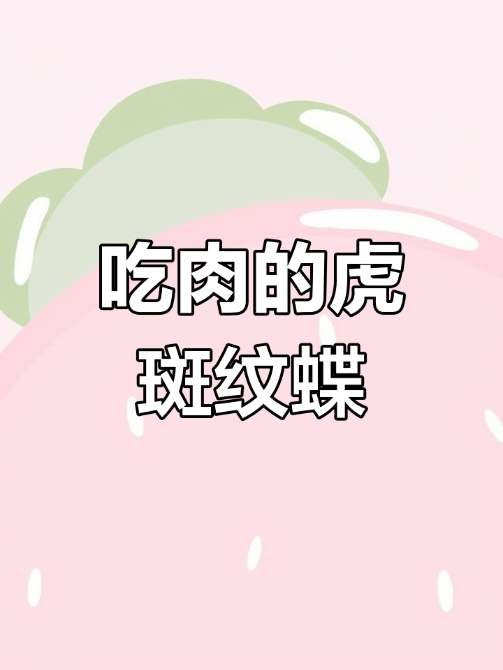 巴西丛林的食肉蝴蝶,竟以昆虫和小型动物为食