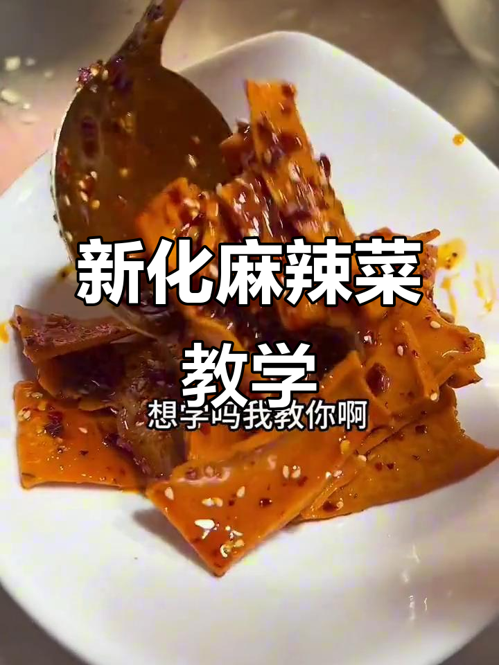湖南新化麻辣菜,轻松学做街头热销小吃