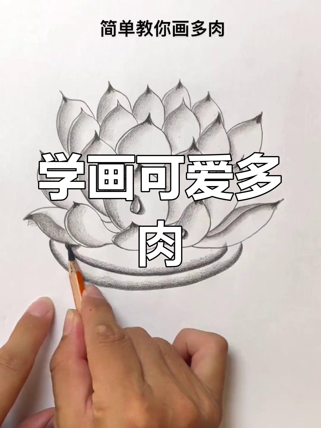 零基础学画多肉植物,轻松掌握炭笔画技巧