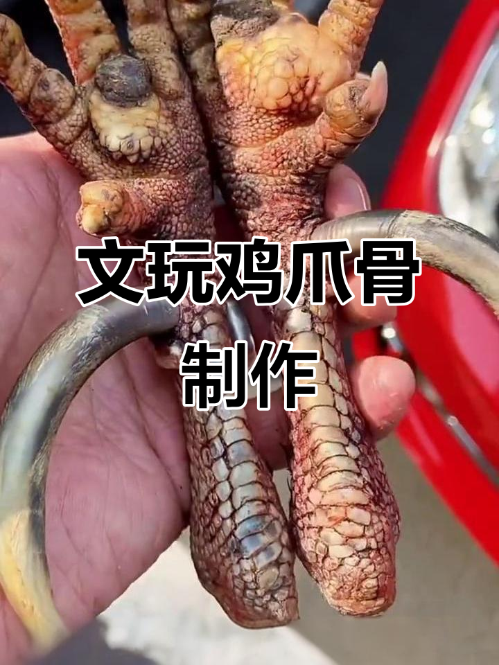 25年老公鸡爪骨制作手把件,过程超有趣