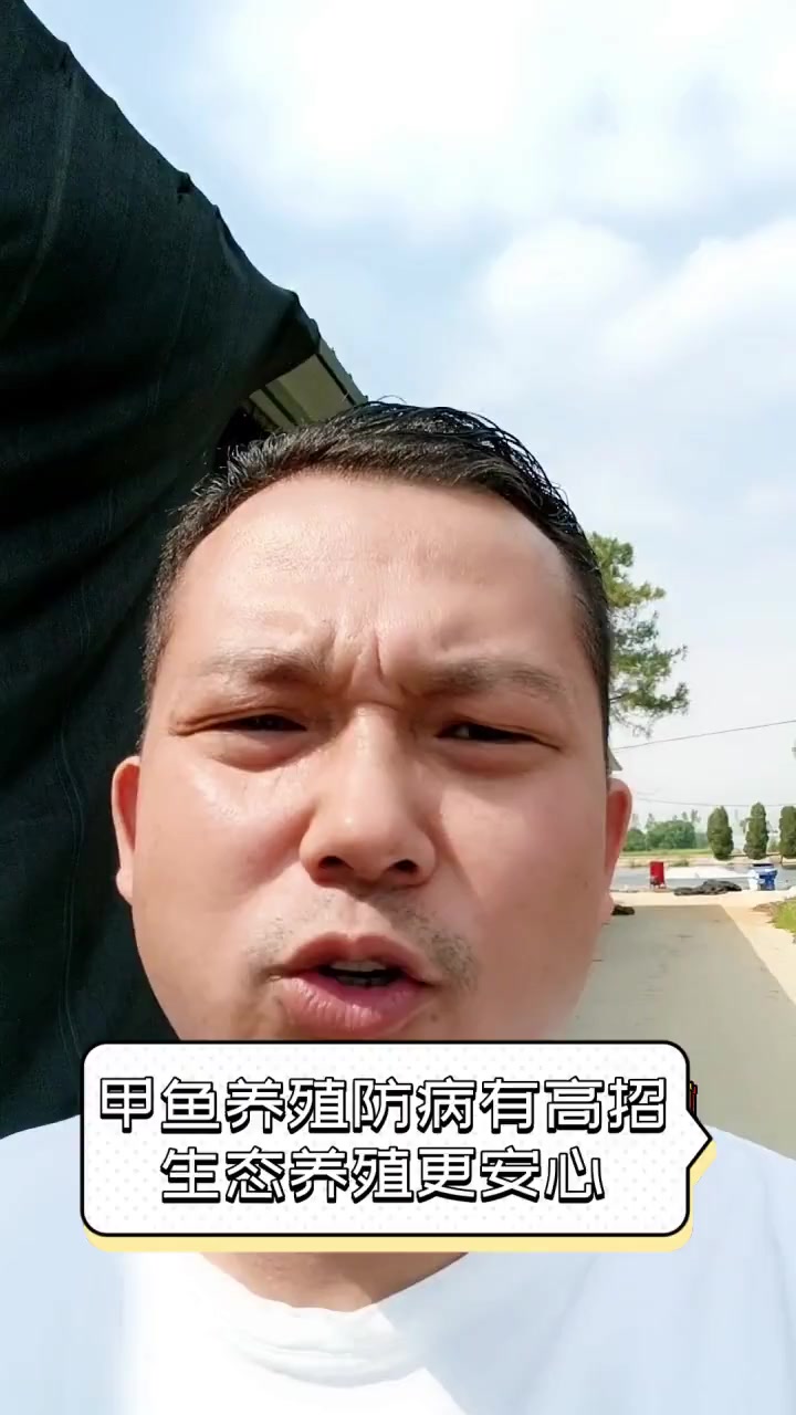 甲鱼养殖防病有高招,生态养殖更安心