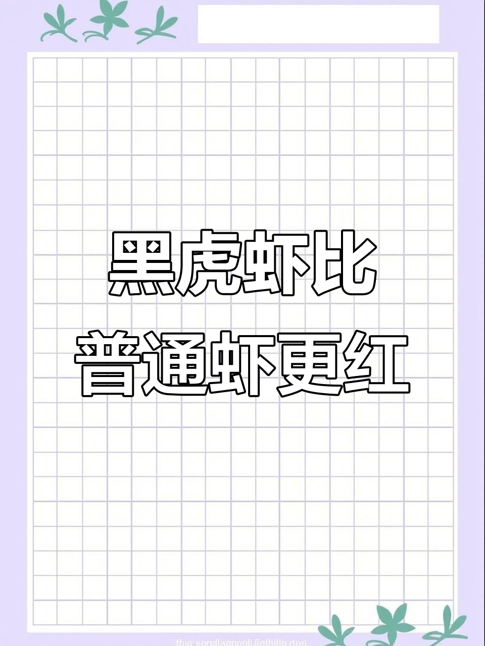 天气热,吃点黑虎虾更红!清蒸多宝鱼饼搭配米饭超美味