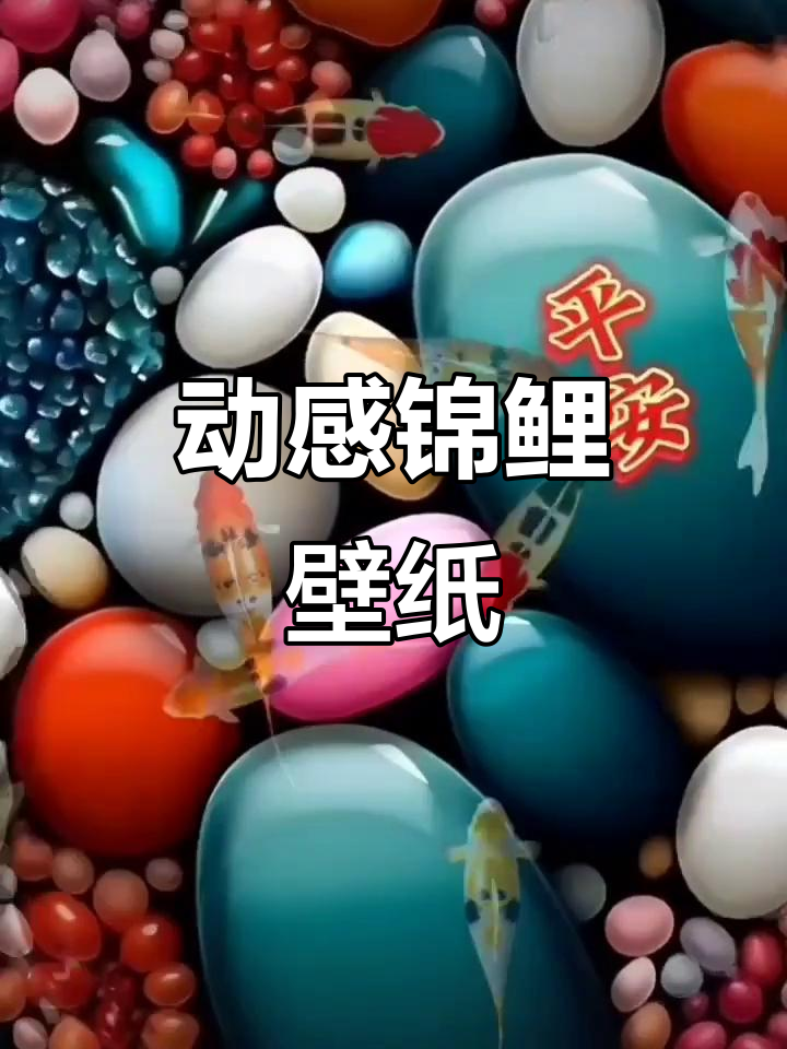 锦鲤与鹅卵石的动画壁纸,动感十足