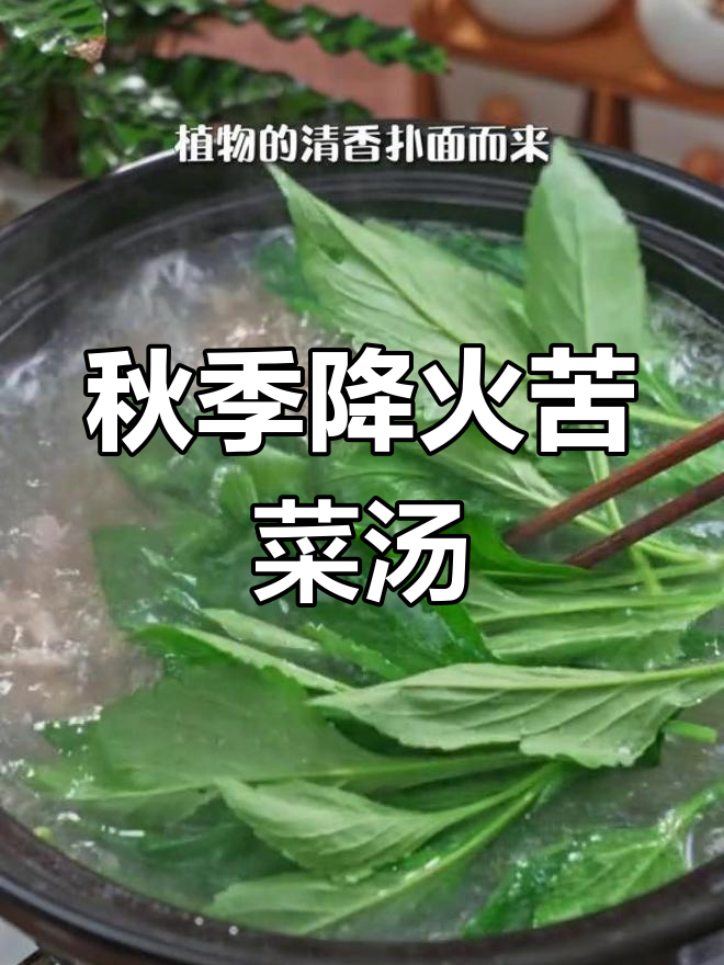福建特色苦菜小肠汤,降火又美味