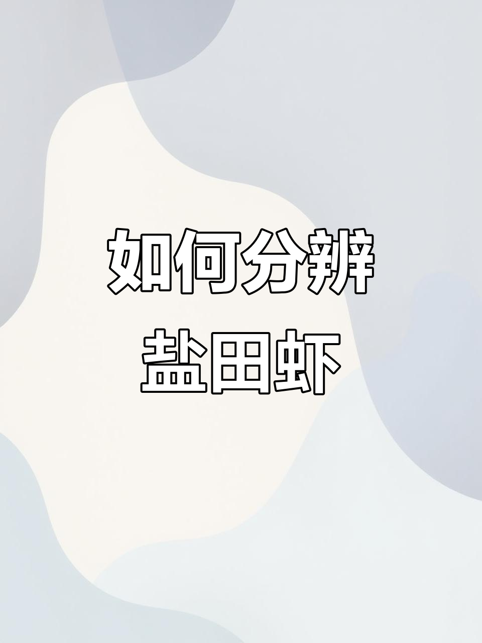 盐田虾与淡水虾大揭秘,如何挑选正宗好货
