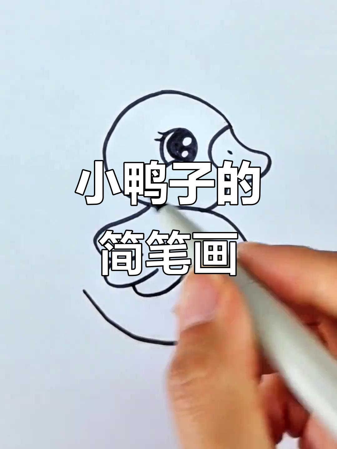 用S画小鸭子,简单又可爱!