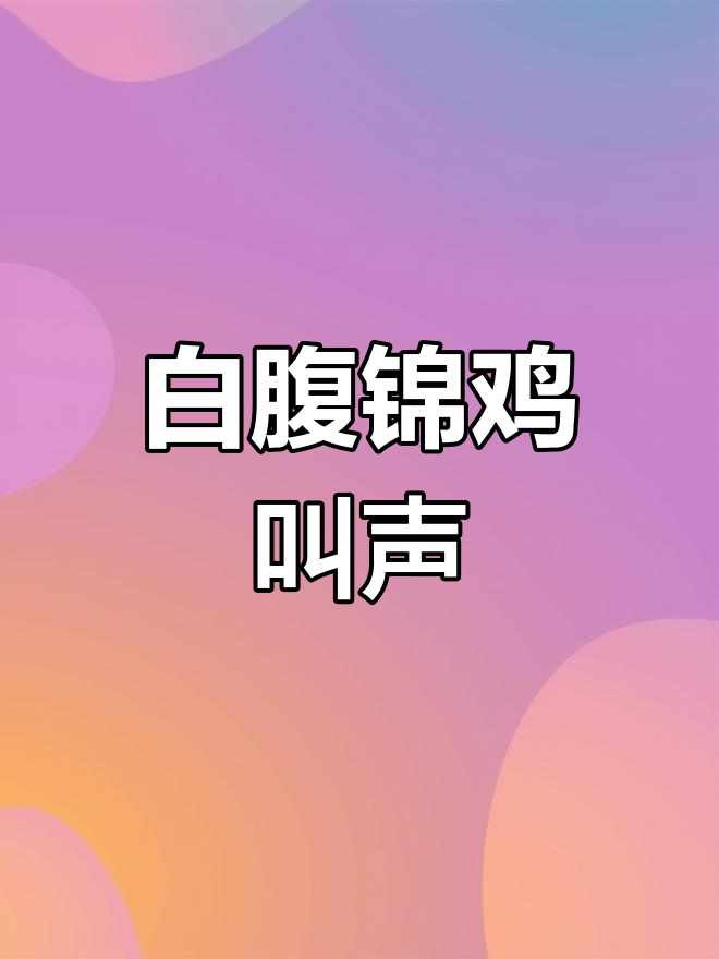 白腹锦鸡呼唤同伴,声音传递信息