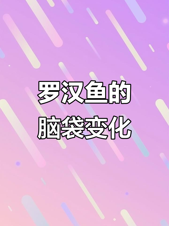 罗汉鱼缩头爆头的奥秘,了解这些变化背后的原因