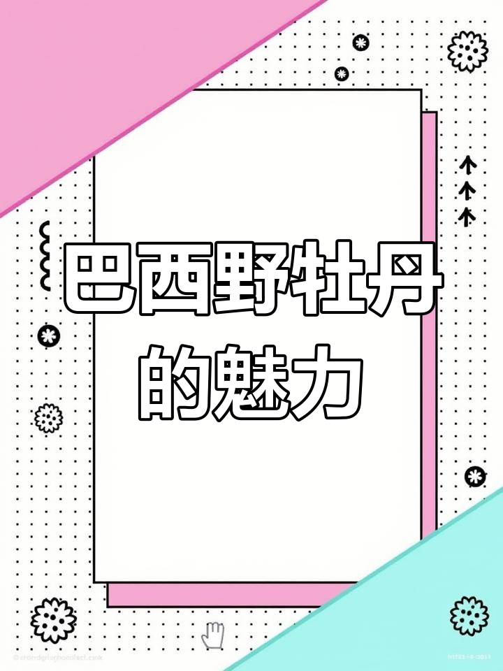 巴西紫牡丹:一花一世界,美丽与自然的完美结合