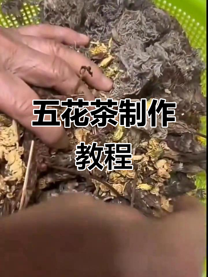 广东五花茶:清热祛湿,夏日必备凉茶