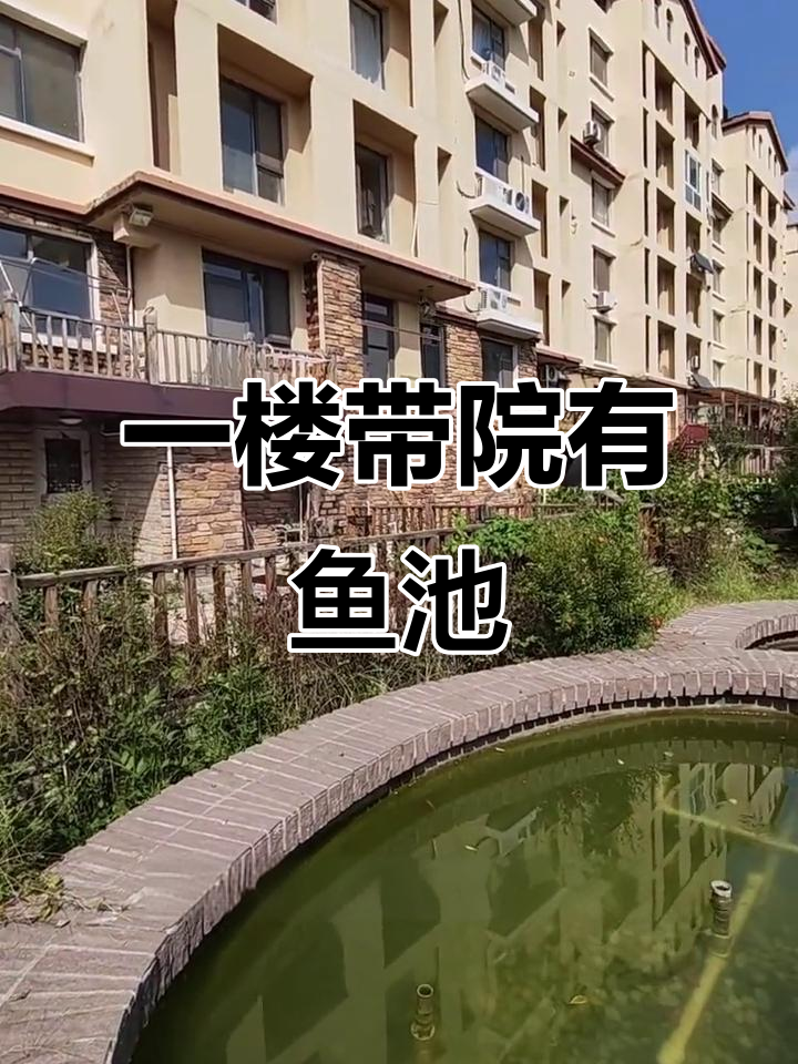 上下两层200平,带60平米私家院子与鱼池