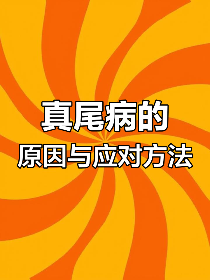 观赏鱼尾鳍收缩怎么办?这些原因你得知道
