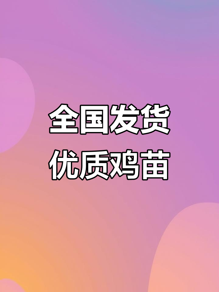 全国各地发货,优质鸡苗批发,养小鸡必备孵化场