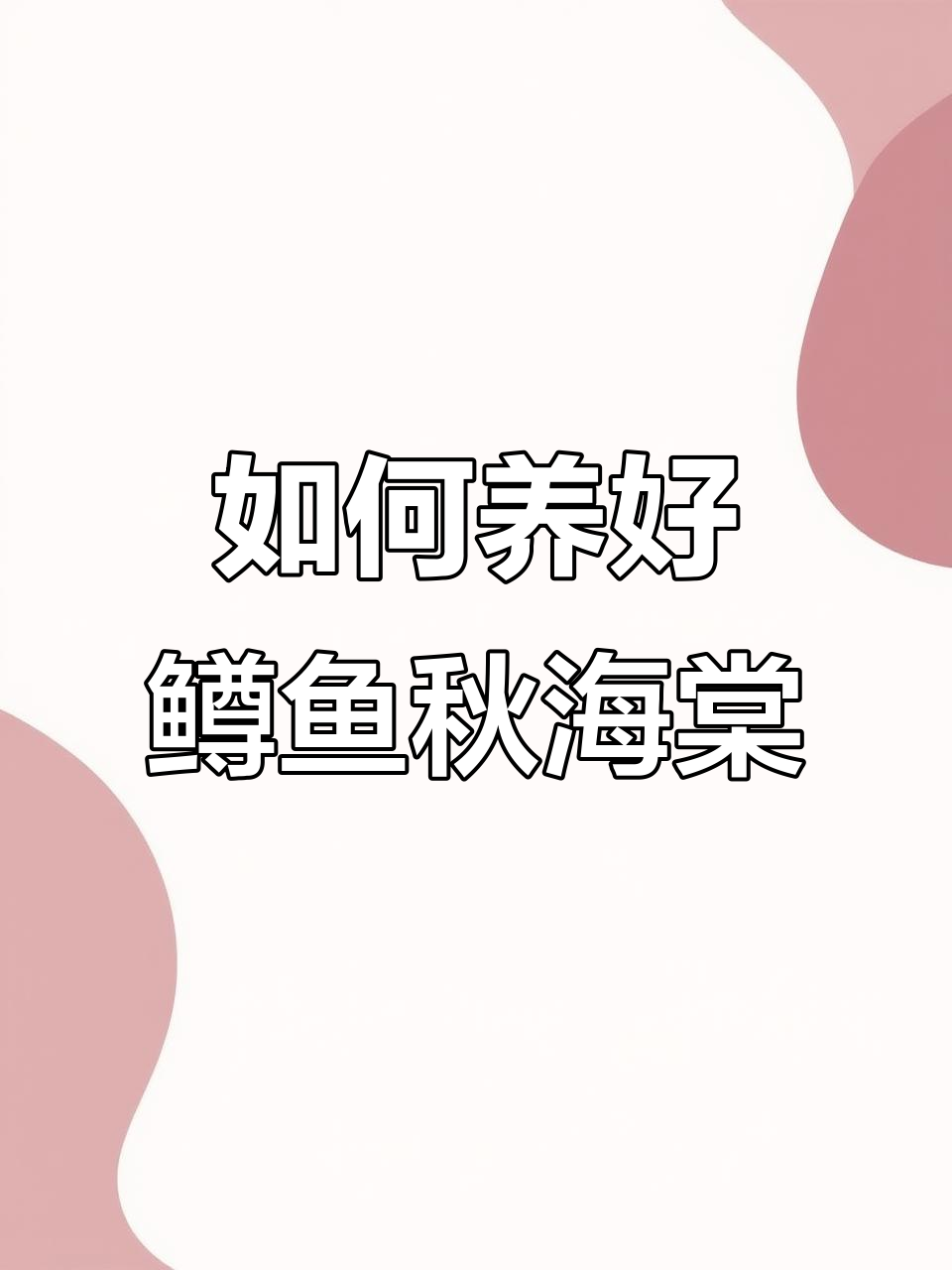 鳟鱼秋海棠养护全攻略:光照、湿度不可忽视