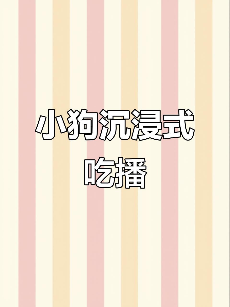 博美狗狗吃播:瓠子鸡蛋肉丸汤,解压又治愈