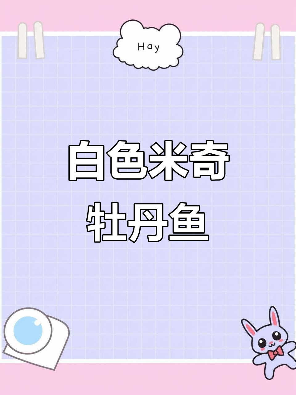 米奇三色牡丹鱼：人工杂交的独特淡水观赏品种