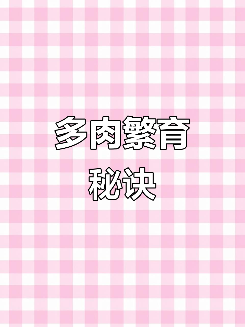 掌握多肉佛珠养护，轻松繁殖到停不下来！
