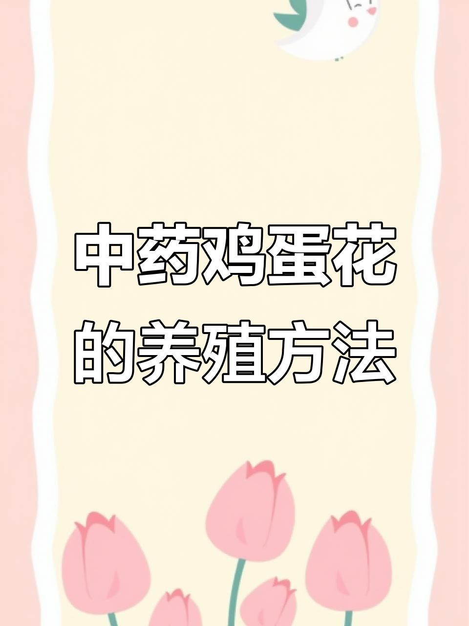 鸡蛋花:中药材与花卉的完美结合,养护技巧全揭秘