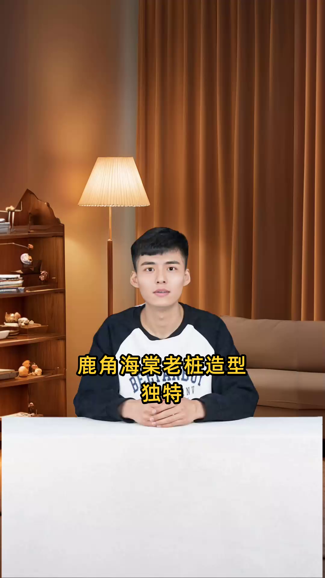 鹿角海棠老桩独特造型展示,欣赏自然与艺术的完美结合