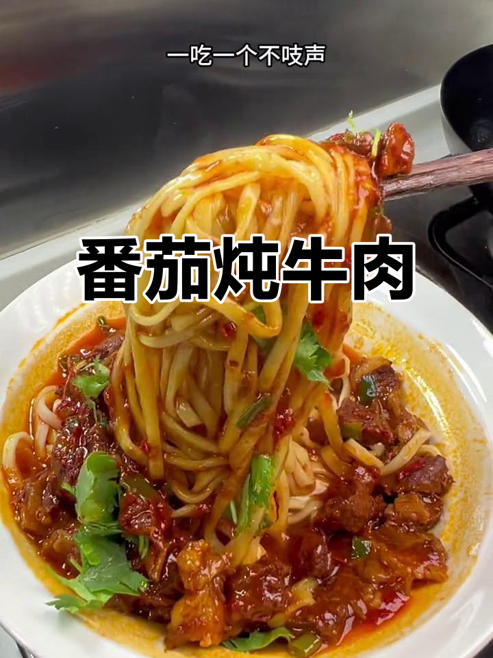 西红柿炖牛腩，拌饭拌面绝了！砂锅慢炖软烂入味