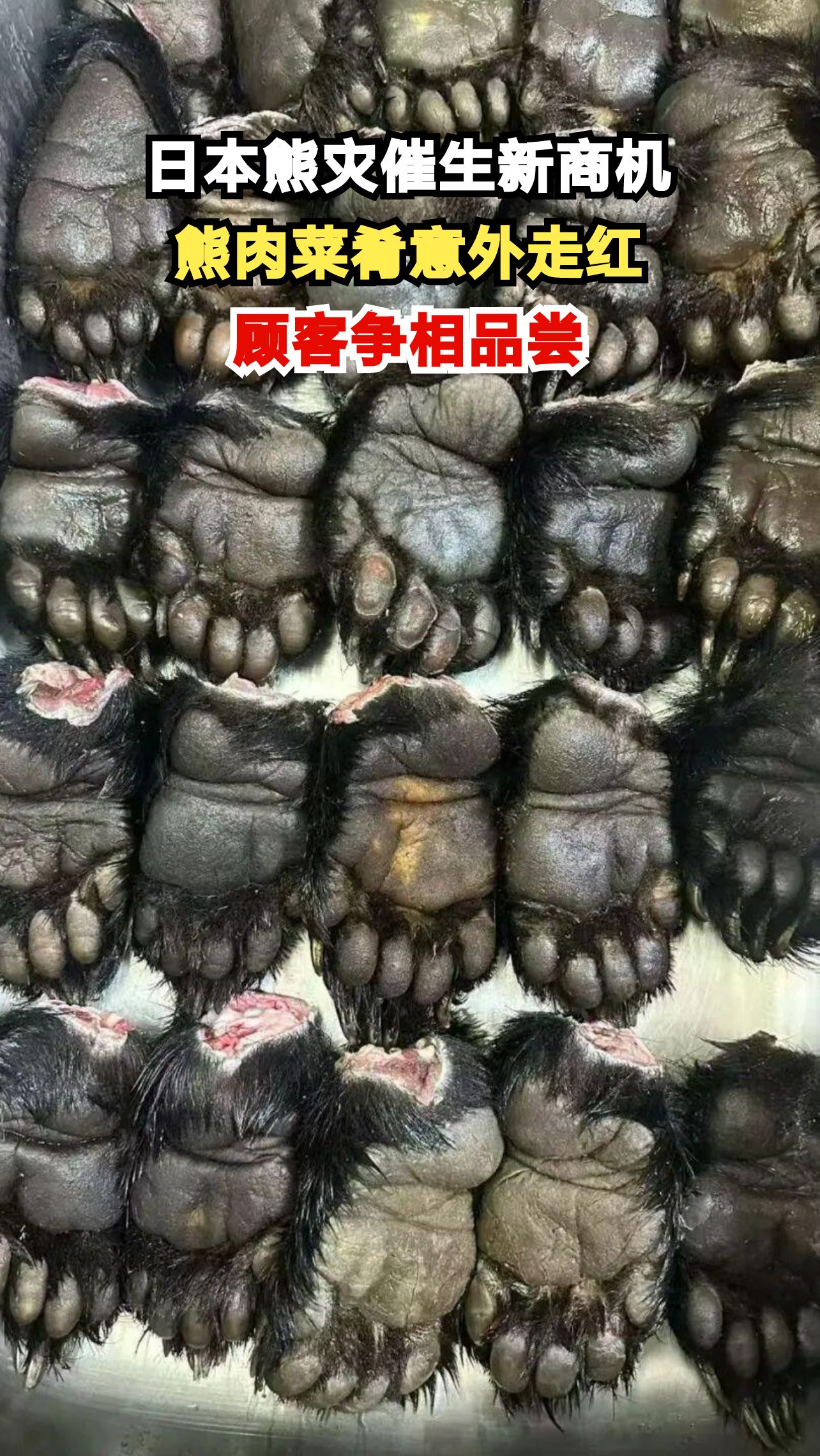 日本熊灾频发催生熊肉料理,食客直呼味道惊艳,你敢尝试吗?