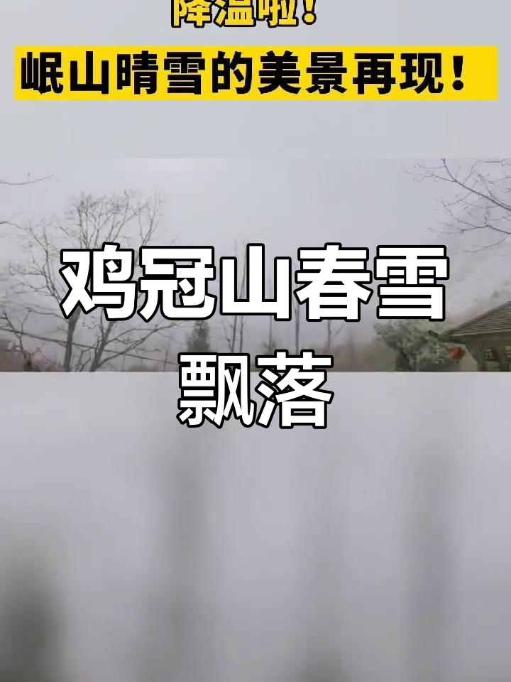 崇州鸡冠山春雪降临,大山深处美景如画
