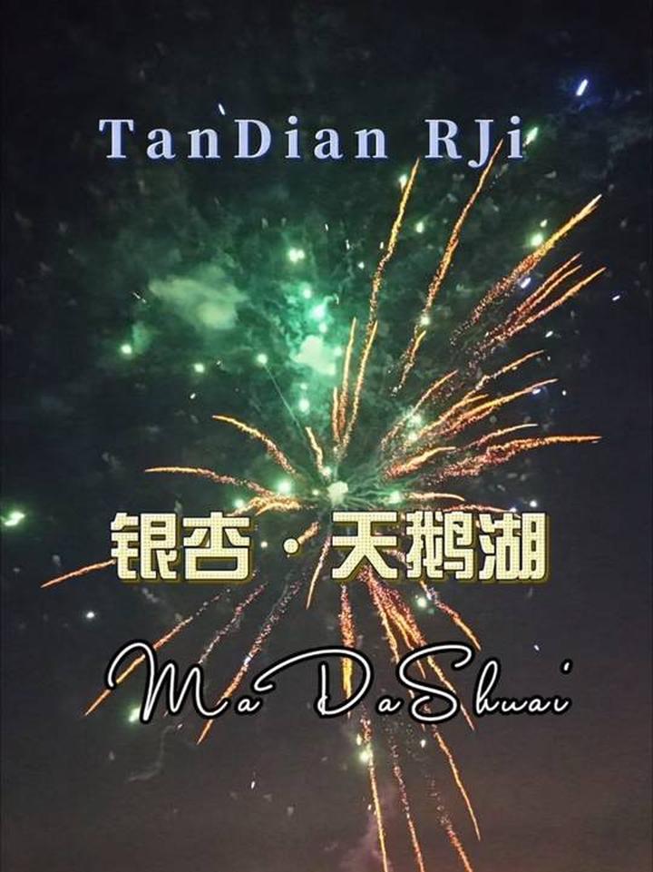 嘉兴银杏天鹅湖夜游开启！浪漫的夜晚呈现在大家眼前