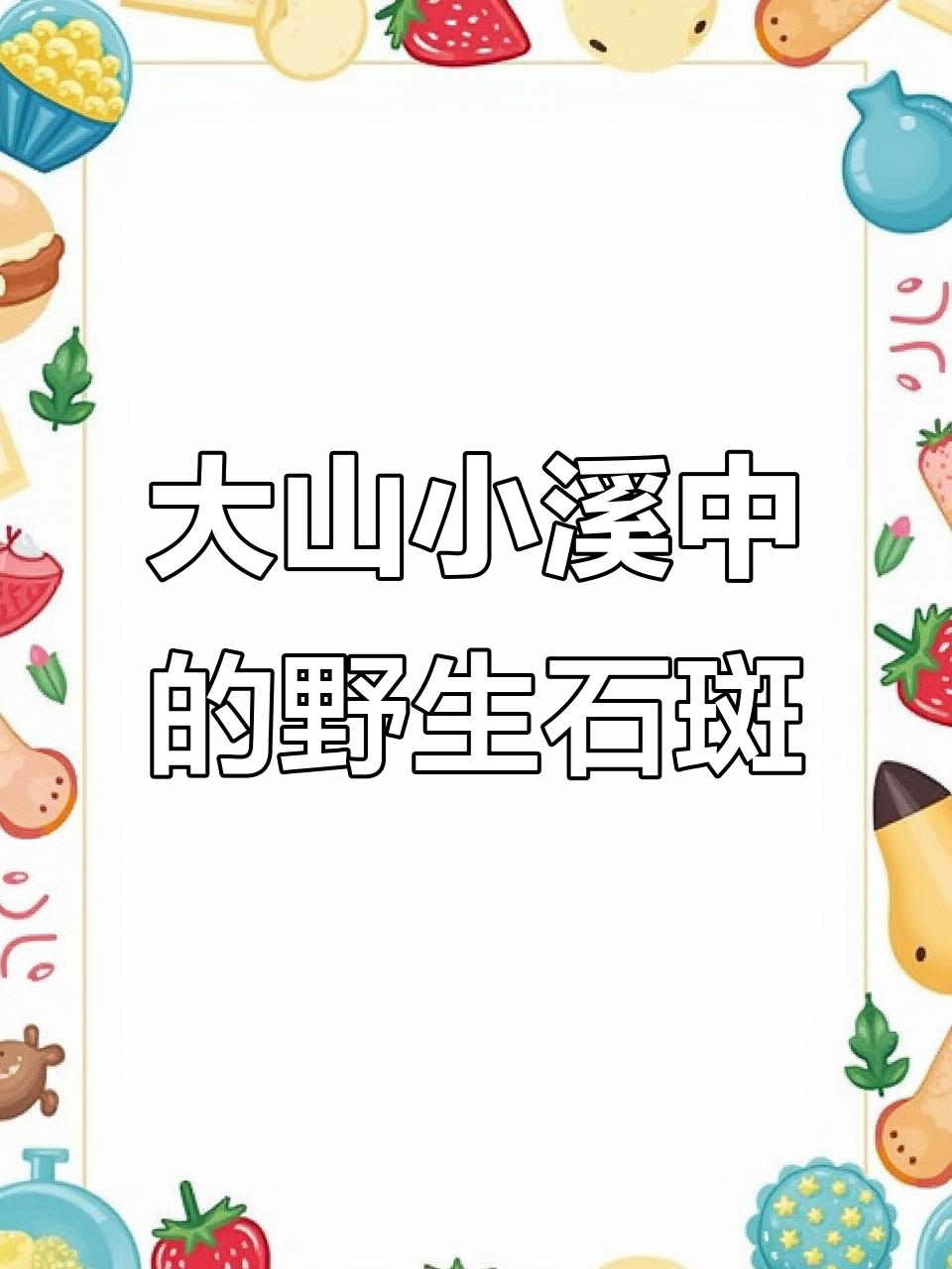 只有大山小溪才能找到的野生石斑鱼,抓捕过程惊险刺激