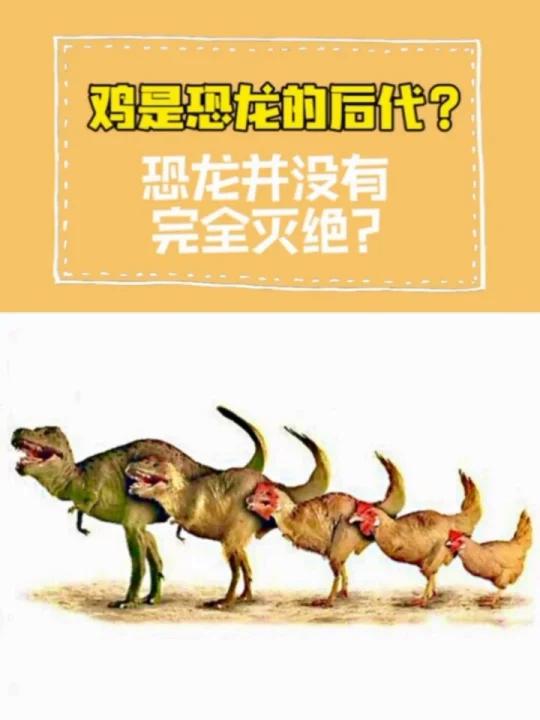 鸡是恐龙的直系后裔?恐龙没有完全灭绝?