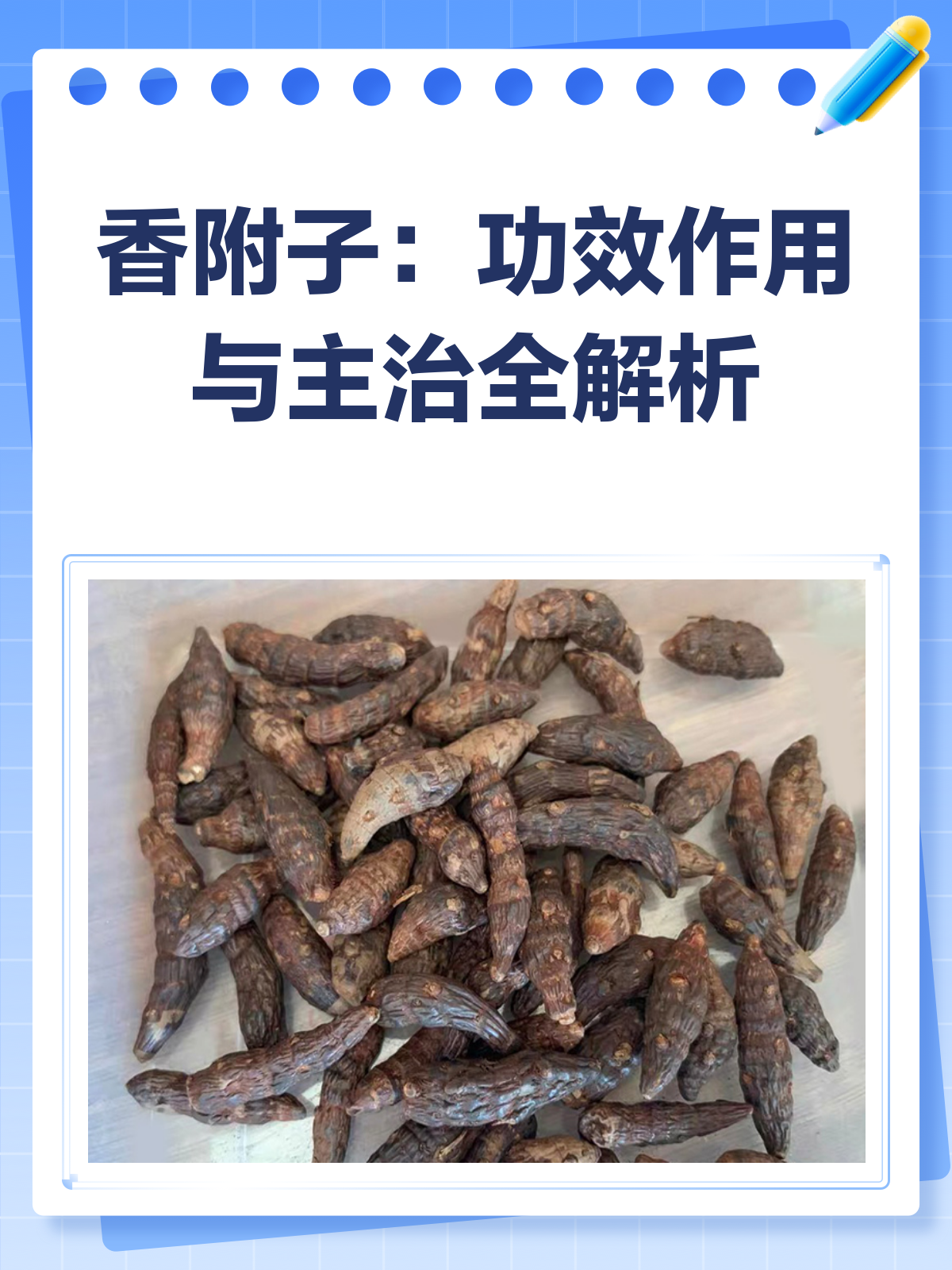 香附子:解郁调经止痛的“女科主帅”