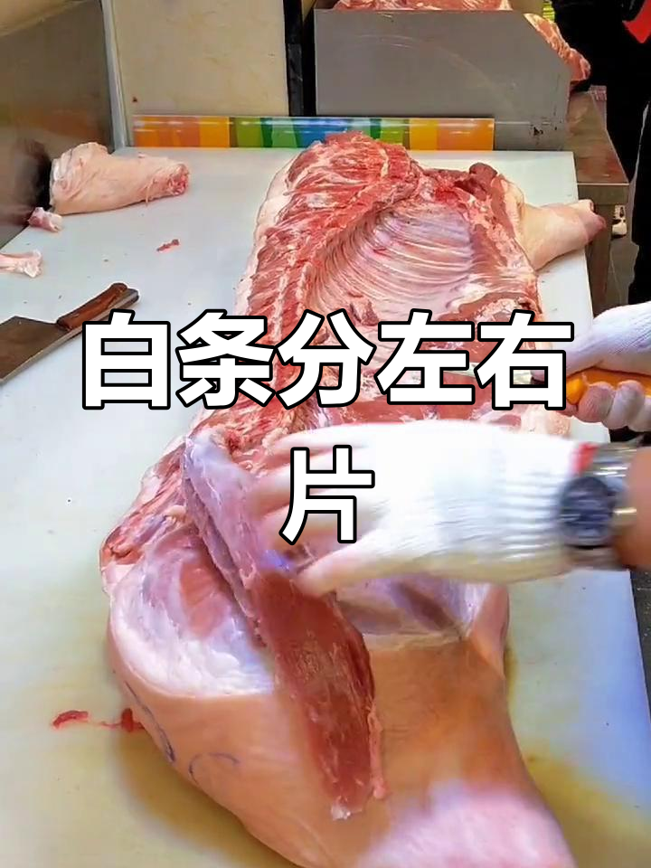 猪肉分割技巧大揭秘,左右片如何区分