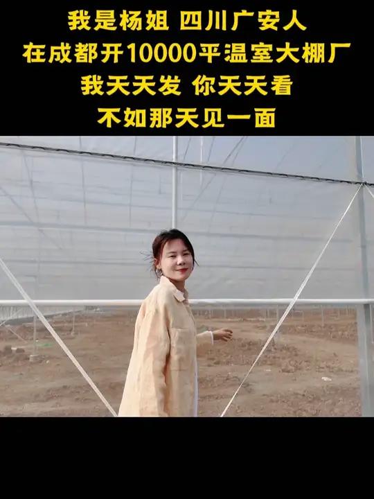 那天见一面嘛？养殖大棚，连体大棚，单体大棚，蔬菜种植大棚#温室大棚#老板娘日常#工厂实拍视