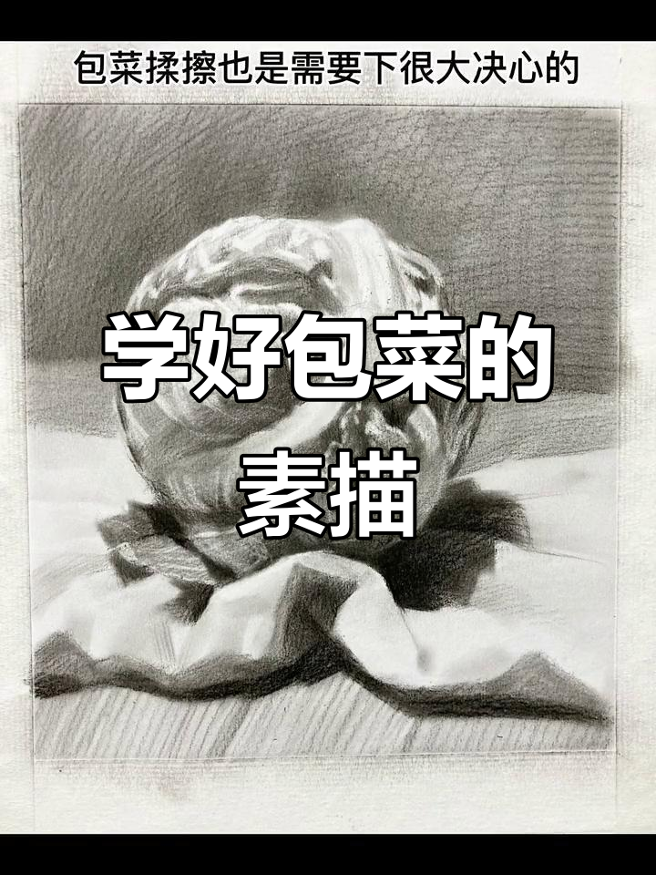 包菜素描技巧大揭秘,轻松画出完美静物!