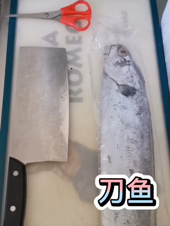 带鱼也叫刀鱼,你知道吗