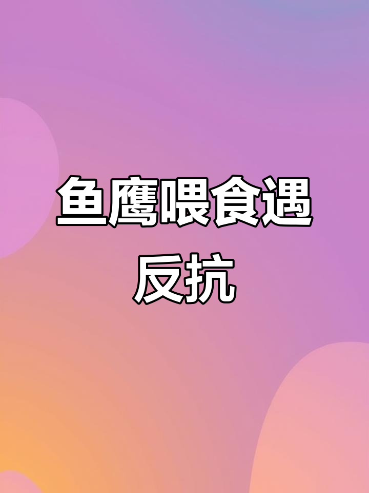 鱼鹰幼鸟遭大鱼猛烈攻击,生死一瞬惊险连连