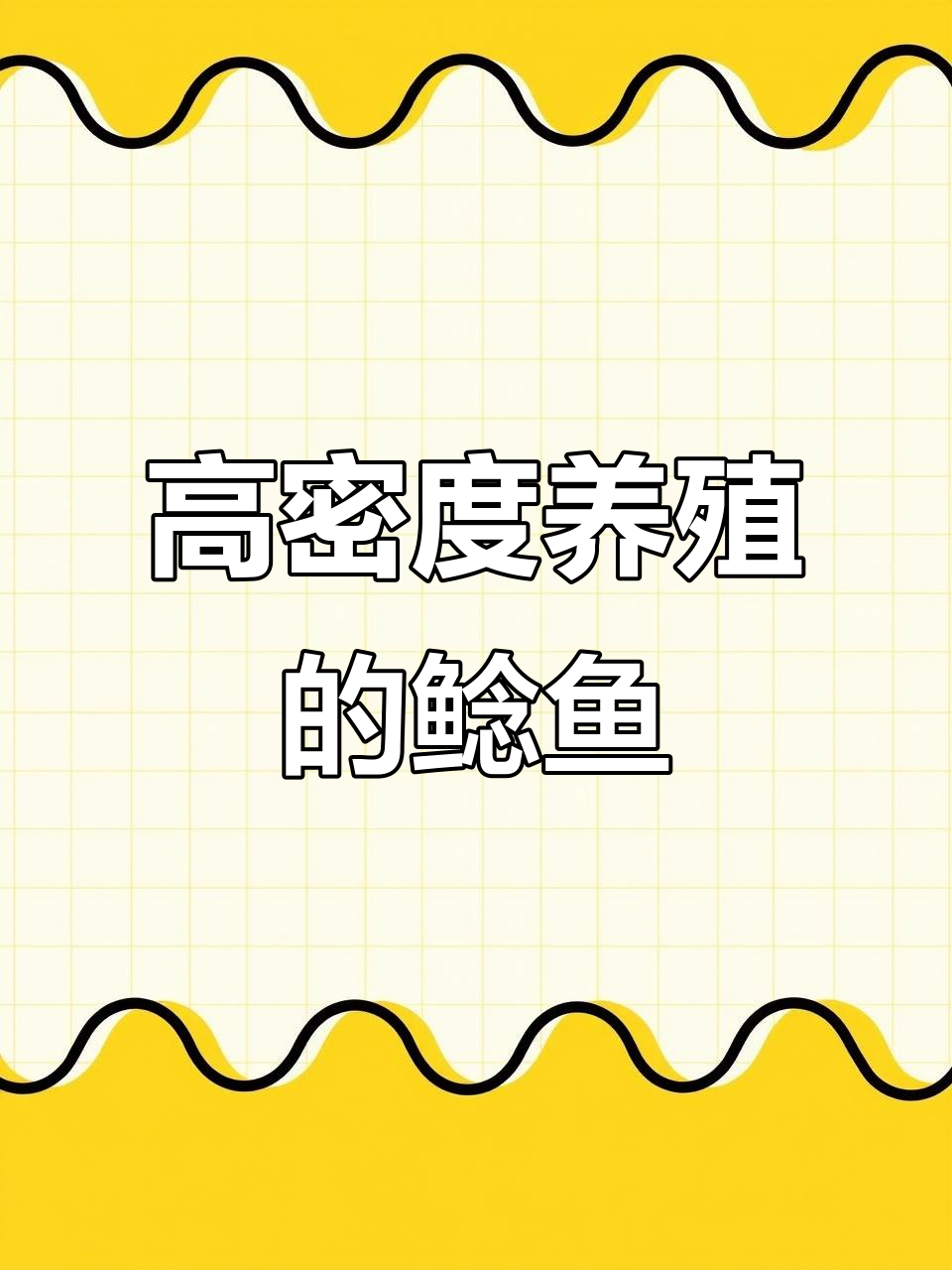 南方杂交鲶鱼,抗寒耐低氧,养殖简单又高效