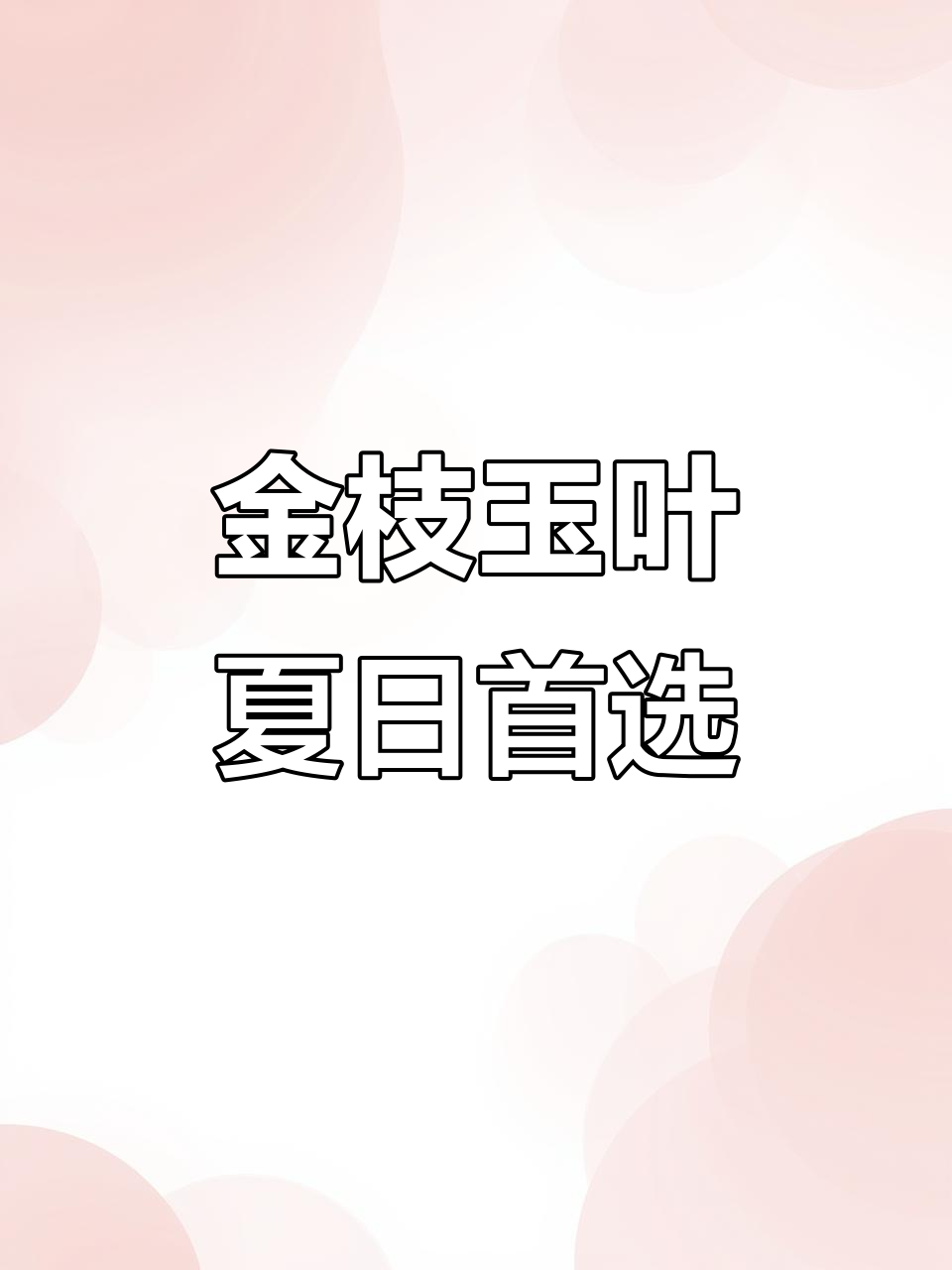 夏季必备!金枝玉叶多肉植物,颜值高又好养