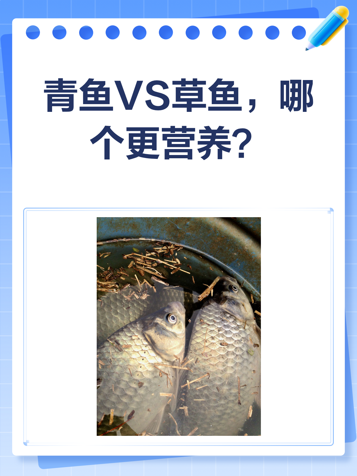 青鱼VS草鱼,营养价值大比拼!