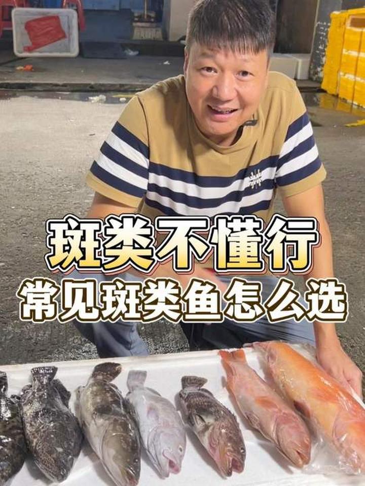 常见斑类鱼怎么挑？海捕东星斑和养殖的到底有什么区别