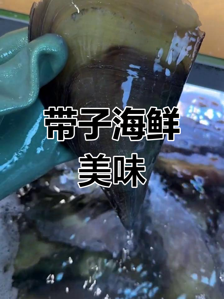 海鲜带子大快朵颐,鲜美无比!