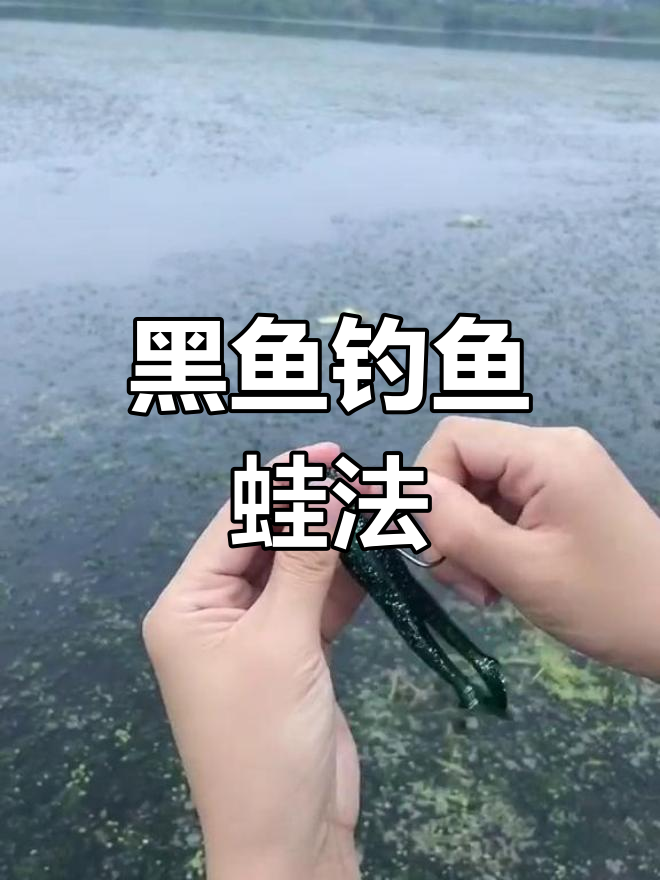 钓黑鱼必备小青蛙软体技巧,轻松掌握!