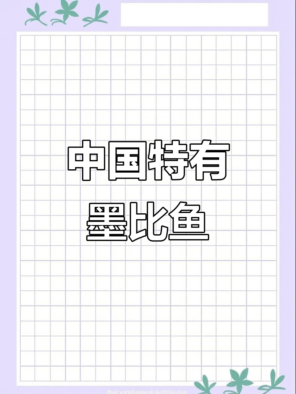 墨笔鱼:中国原生观赏鱼的颜值天花板,广温水系中的珍稀宝藏