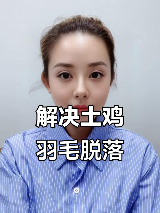 土鸡掉毛原因分析，如何解决？